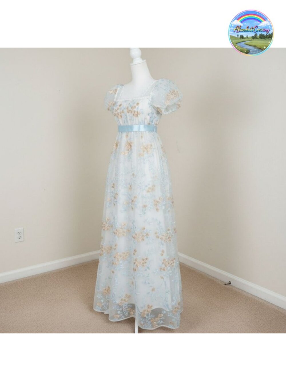 Regency Dress 1800s Victorian Ball Gown with Gloves & Ribbon Set